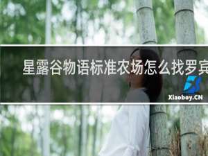 星露谷物语标准农场怎么找罗宾g