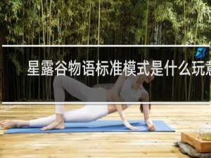 星露谷物语标准模式是什么玩意