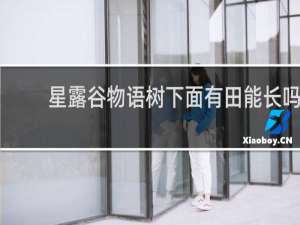 星露谷物语树下面有田能长吗