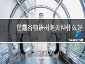 星露谷物语树冬天种什么好