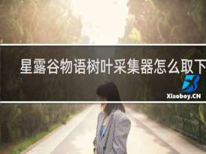 星露谷物语树叶采集器怎么取下来