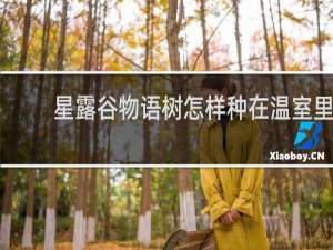 星露谷物语树怎样种在温室里