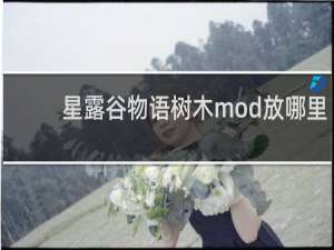 星露谷物语树木mod放哪里