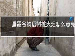 星露谷物语树桩火炬怎么点亮