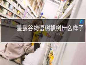 星露谷物语树橡树什么样子