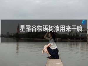 星露谷物语树液用来干嘛