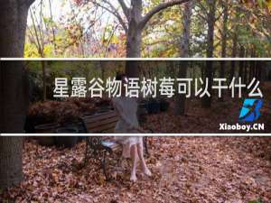 星露谷物语树莓可以干什么
