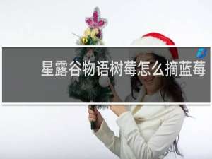 星露谷物语树莓怎么摘蓝莓