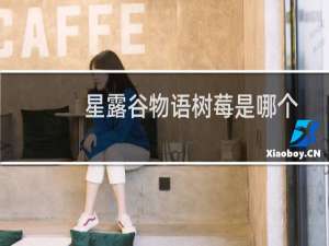 星露谷物语树莓是哪个