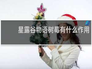 星露谷物语树莓有什么作用