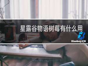 星露谷物语树莓有什么用