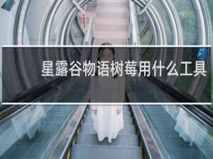 星露谷物语树莓用什么工具