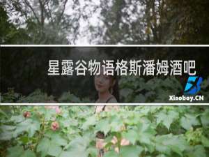 星露谷物语格斯潘姆酒吧