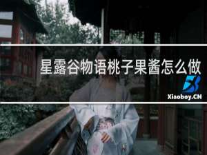 星露谷物语桃子果酱怎么做