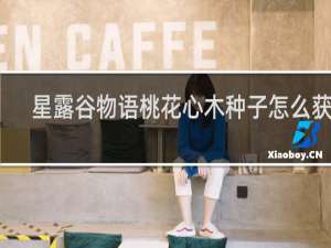 星露谷物语桃花心木种子怎么获取