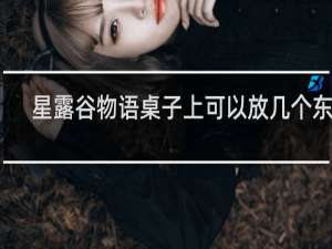 星露谷物语桌子上可以放几个东西