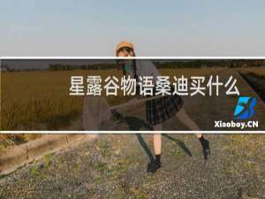 星露谷物语桑迪买什么