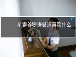 星露谷物语桑迪喜欢什么