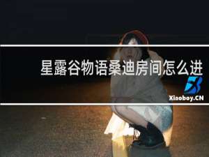 星露谷物语桑迪房间怎么进