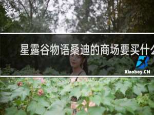 星露谷物语桑迪的商场要买什么