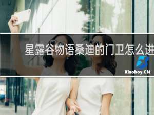 星露谷物语桑迪的门卫怎么进