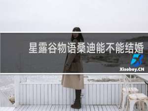 星露谷物语桑迪能不能结婚