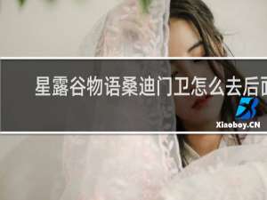 星露谷物语桑迪门卫怎么去后面