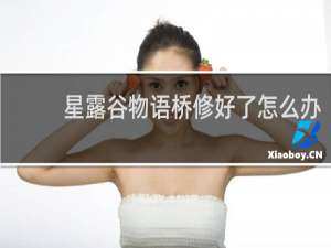 星露谷物语桥修好了怎么办