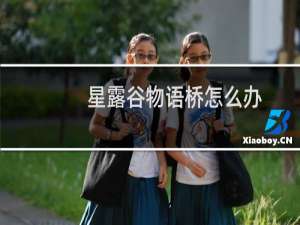 星露谷物语桥怎么办