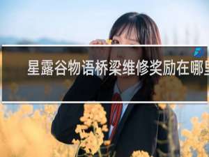 星露谷物语桥梁维修奖励在哪里