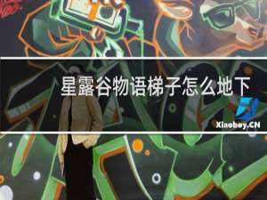 星露谷物语梯子怎么地下