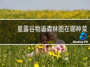 星露谷物语森林图在哪种菜