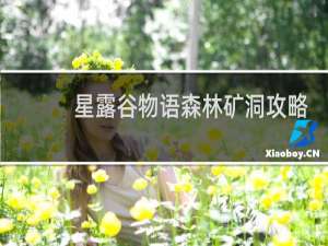 星露谷物语森林矿洞攻略