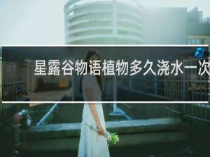 星露谷物语植物多久浇水一次