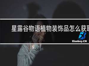 星露谷物语植物装饰品怎么获取