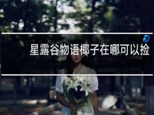 星露谷物语椰子在哪可以捡