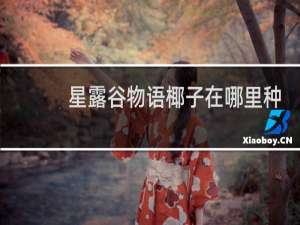 星露谷物语椰子在哪里种