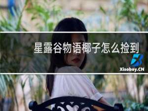 星露谷物语椰子怎么捡到