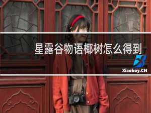 星露谷物语椰树怎么得到