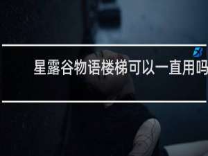 星露谷物语楼梯可以一直用吗