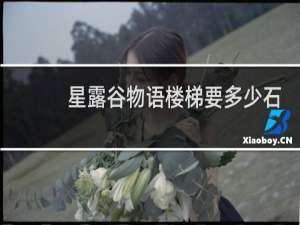 星露谷物语楼梯要多少石