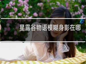 星露谷物语模糊身影在哪