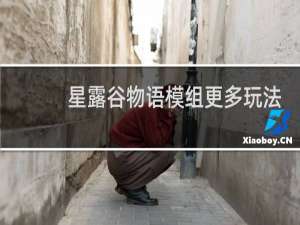 星露谷物语模组更多玩法