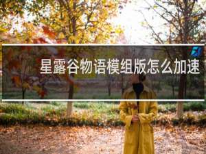 星露谷物语模组版怎么加速