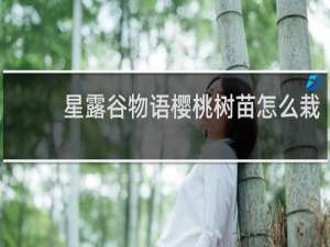 星露谷物语樱桃树苗怎么栽