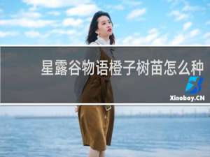 星露谷物语橙子树苗怎么种
