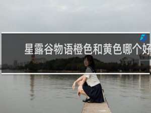 星露谷物语橙色和黄色哪个好