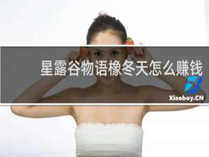 星露谷物语橡冬天怎么赚钱