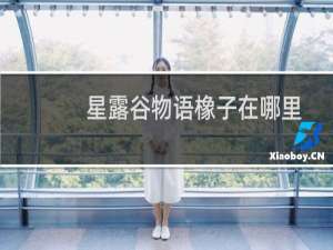 星露谷物语橡子在哪里