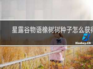 星露谷物语橡树树种子怎么获得